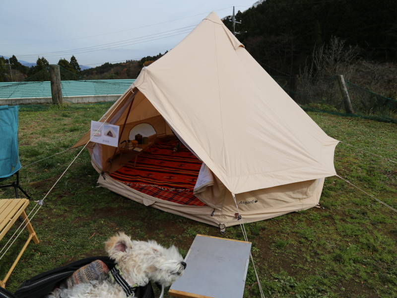 豪華ラインナップの北欧テント展示会 Ezbbq Country 犬とキャンプ